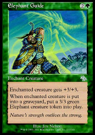 Elephant Guide
